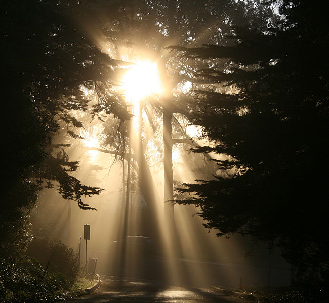 Soleil, rayons crépusculaires